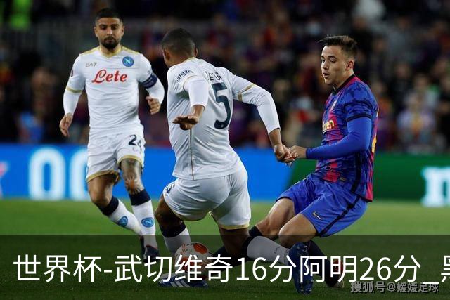 世界杯-武切维奇16分阿明26分 黑山大胜埃及
