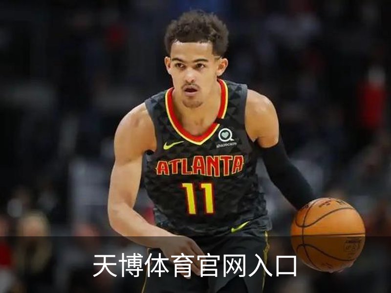 天博体育官网入口简介